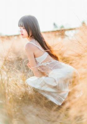 一路向西视频